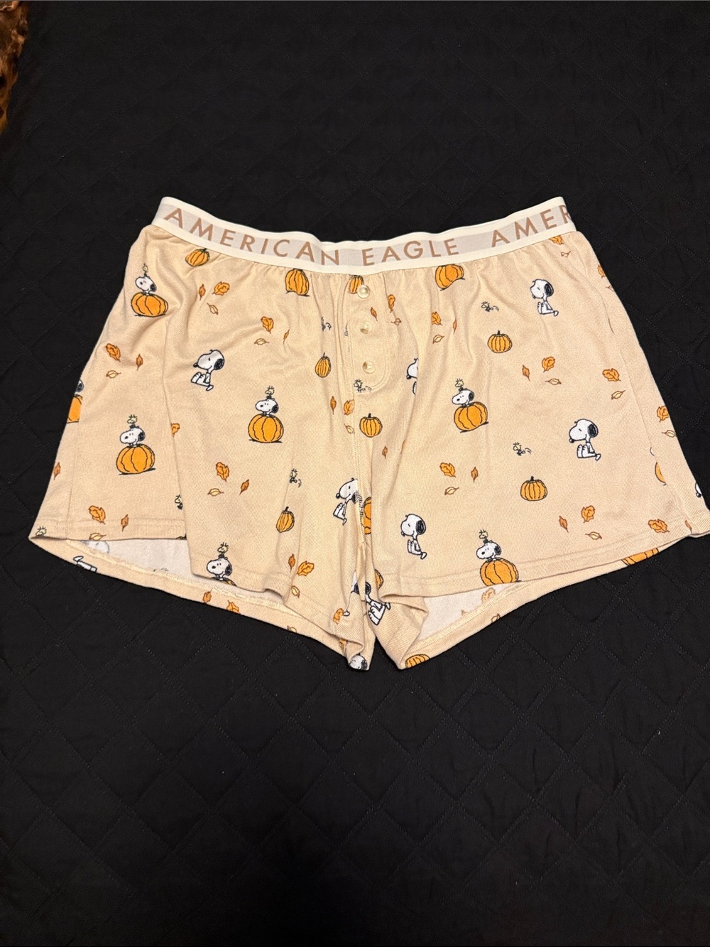 American Eagle Outfitters Beige Snoopy Pumpkin ๐ Pajama Set - Picture 3 of 5